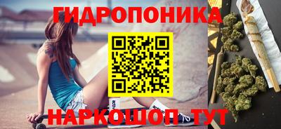 тгк Шебекино