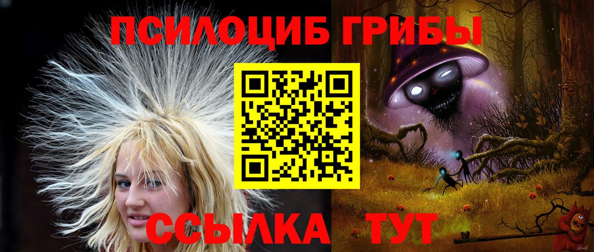 Псилоцибиновые грибы прущие грибы  Вход с VPN  Анжеро-Судженск 