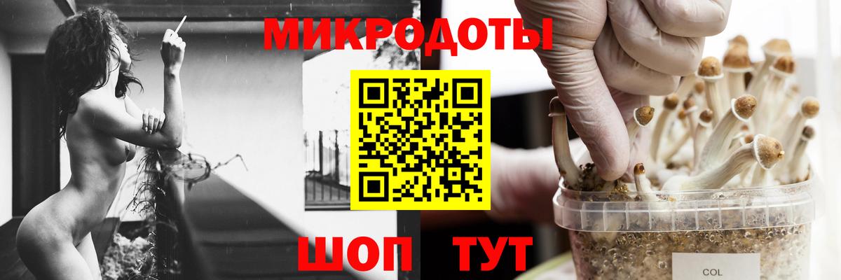Галлюциногенные грибы GOLDEN TEACHER Анжеро-Судженск